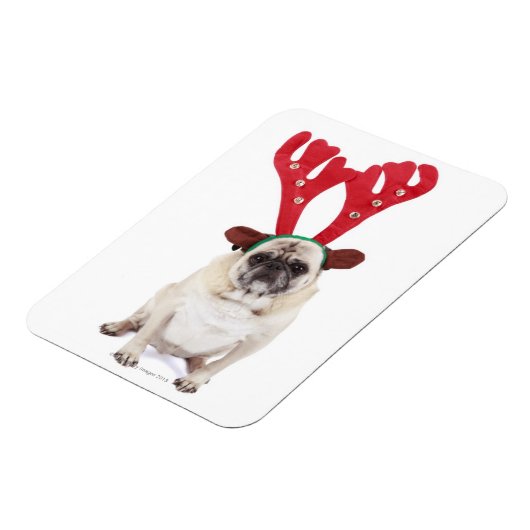 Verbaasd uitziende steker met Reindester Antlers Magneet (Linkerzijde)