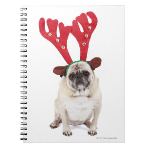 Verbaasd uitziende steker met Reindester Antlers Notitieboek