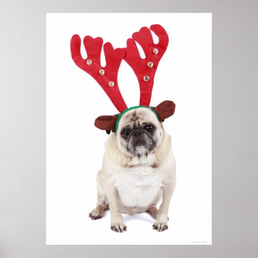 Verbaasd uitziende steker met Reindester Antlers Poster (Voorkant)