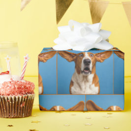 Verbaasde Basset Hound Cadeaupapier