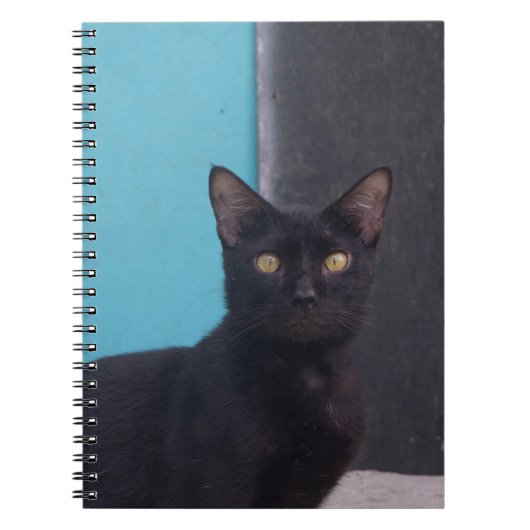 Verbaasde Zwarte Kat Notitieboek (Voorkant)