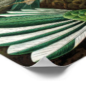 Verbazingwekkend Afbeelding voor koetvogels door E Poster (Hoek)