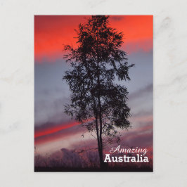 Verbazingwekkend Australië briefkaart