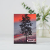 Verbazingwekkend Australië briefkaart (Staand voorkant)