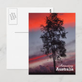 Verbazingwekkend Australië briefkaart (Voorkant / Achterkant)