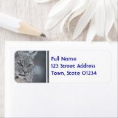 Verbazingwekkend Bobcat Etiket (Insitu)