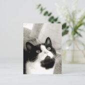 verbazingwekkend briefkaart (Staand voorkant)