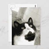 verbazingwekkend briefkaart (Voorkant / Achterkant)