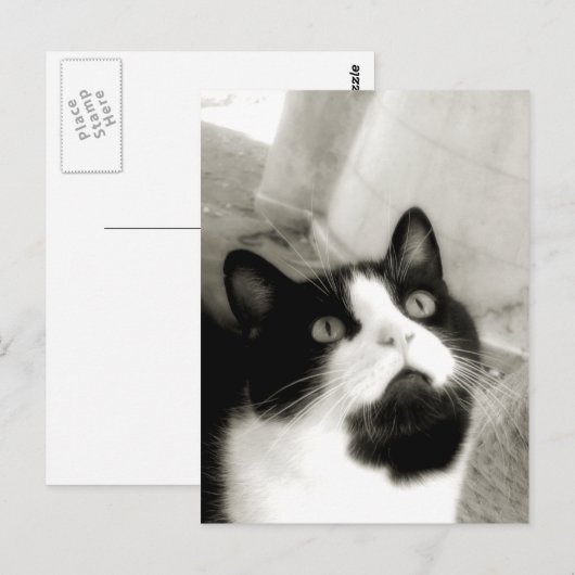 verbazingwekkend briefkaart (Voorkant / Achterkant)