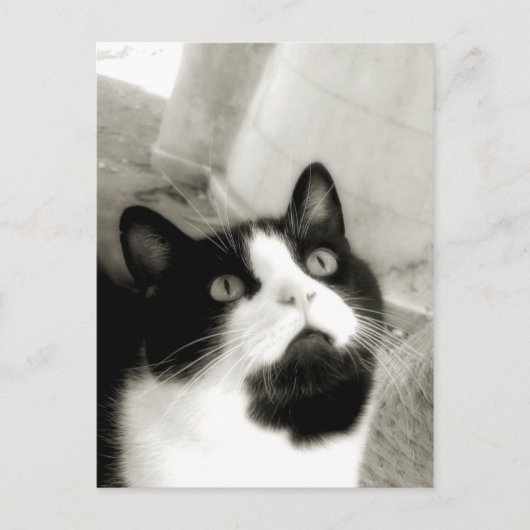 verbazingwekkend briefkaart (Voorkant)