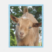 Verbazingwekkend Nigeriaans Kind van de Dairy Goat Fleece Deken (Voorkant)