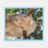 Verbazingwekkend Nigeriaans Kind van de Dairy Goat Fleece Deken (Voorkant (Horizontaal))