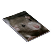 Verbazingwekkend Notitieboek (Rechterzijde)