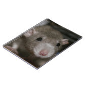 Verbazingwekkend Notitieboek (Linkerzijde)