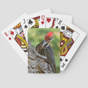 Verbazingwekkend portret van een Amerikaanse zwart Pokerkaarten