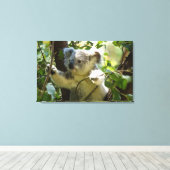 Verbazingwekkend schattige baby koala in een boom canvas afdruk (Insitu (Houten vloer))