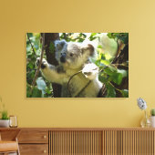 Verbazingwekkend schattige baby koala in een boom canvas afdruk (Insitu (Woonkamer))