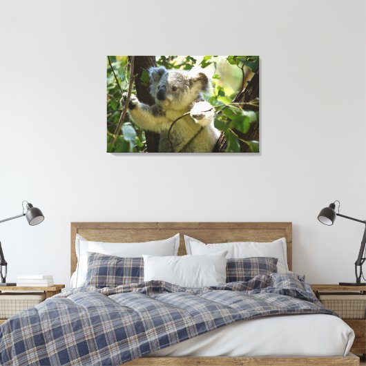 Verbazingwekkend schattige baby koala in een boom canvas afdruk (Insitu (Slaapkamer))