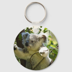 Verbazingwekkend schattige baby koala in een boom sleutelhanger