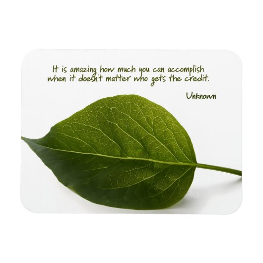 "Verbazingwekkend teamwork" Inspirerend offerte fl Magneet (Horizontaal)