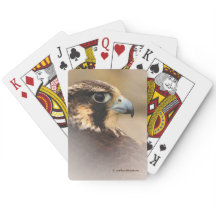 Verbazingwekkend Vignetprofiel van een Slechtvalk