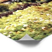  verbazingwekkend vreedzaam Poster op het landscha (Hoek)