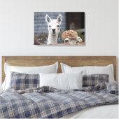 Verbazingwekkende alpacasekuaddieren canvas afdruk (Insitu (Slaapkamer))