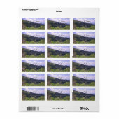 Verbazingwekkende blik op de blauwe schijf etiket (Full Sheet)