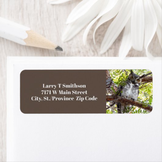 Verbazingwekkende boomkor op vertakking etiket (Insitu)