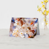 Verbazingwekkende bundel Sakura-bloemen in Springt Kaart (Gele Bloem)