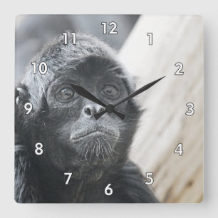 Verbazingwekkende Close-Up van een Spider Monkey Vierkante Klok