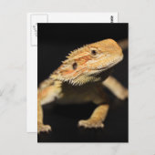 Verbazingwekkende draak briefkaart (Voorkant / Achterkant)