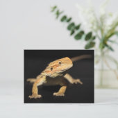 Verbazingwekkende draak briefkaart (Staand voorkant)