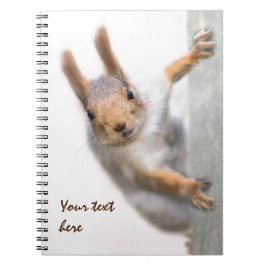 Verbazingwekkende eekhoorn notitieboek