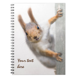 Verbazingwekkende eekhoorn notitieboek