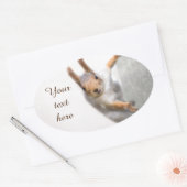 Verbazingwekkende eekhoorn ovale sticker (Envelop)