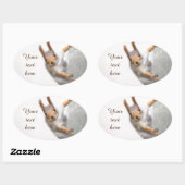 Verbazingwekkende eekhoorn ovale sticker (Vel)