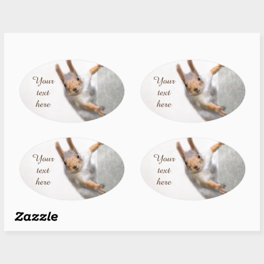 Verbazingwekkende eekhoorn ovale sticker (Vel)