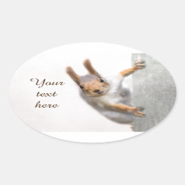 Verbazingwekkende eekhoorn ovale sticker