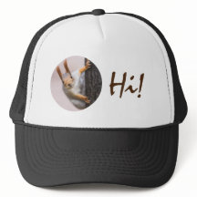 Verbazingwekkende eekhoorn