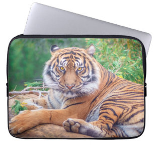 Verbazingwekkende foto van een liggende tijger laptop sleeve