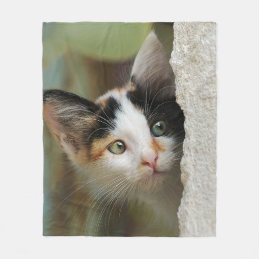 Verbazingwekkende glazen snoepjes, comfortabel fleece deken (Voorkant)