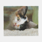 Verbazingwekkende glazen snoepjes, comfortabel fleece deken (Voorkant (Horizontaal))