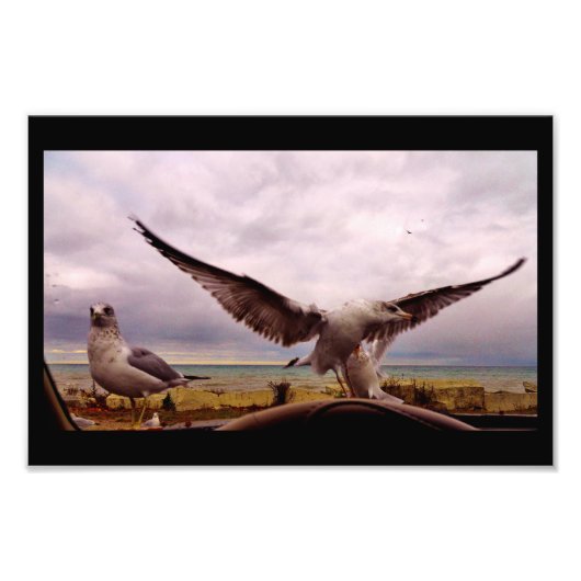 Verbazingwekkende golven foto afdruk (Voorkant)