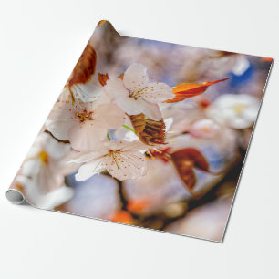Verbazingwekkende hoeveelheid Sakura-bloemen in he Cadeaupapier