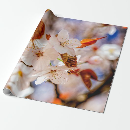 Verbazingwekkende hoeveelheid Sakura-bloemen in he Cadeaupapier (Uitgerold)
