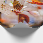 Verbazingwekkende hoeveelheid Sakura-bloemen in he Cadeaupapier (Hoek)