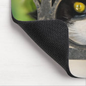 Verbazingwekkende kat met Lijst van bril Funny - L Muismat (Hoek)