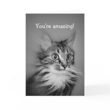 Verbazingwekkende kat met nek Ruff Happy Birthday