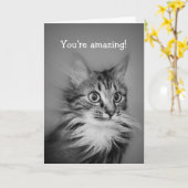 Verbazingwekkende kat met nek Ruff Happy Birthday Kaart (Gele Bloem)